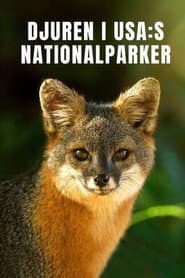 USA:s nationalparker