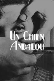 Den andalusiska hunden