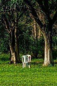 Cinema em Perspectiva