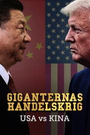USA vs Kina - giganternas handelskrig