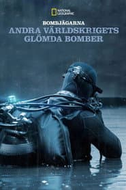 WWII Bomb Hunters