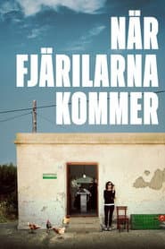 När fjärilarna kommer