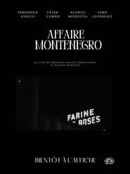 Affaire Montenegro