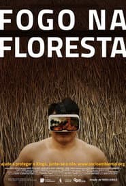 Fogo na Floresta