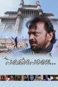 പകല്‍പോലെ...