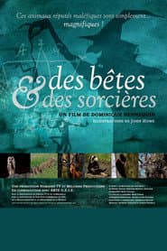 Des bêtes et des sorcières