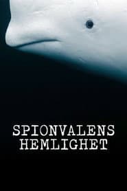 Spionvalens hemlighet