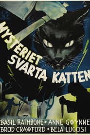 Mysteriet Svarta Katten