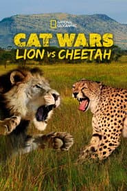 Kattkrig: Lejon vs gepard