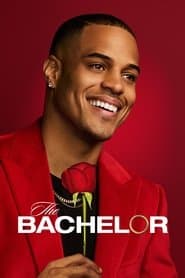 Bachelor
