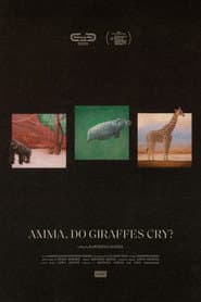 Amma, Do Giraffes Cry?