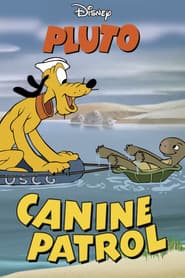 Pluto och sköldpaddan