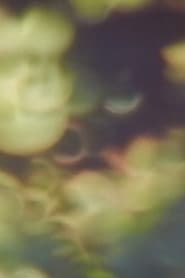Refractions in Green