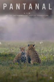 Pantanal