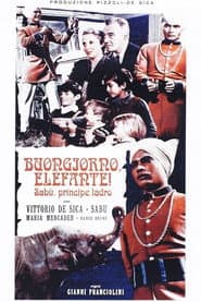 Buongiorno, elefante!