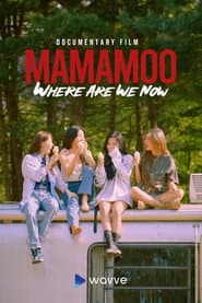 MMM: Where Are We Now