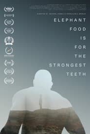 Elephant Food Is for the Strongest Teeth