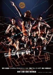 ハイパープロジェクション演劇「ハイキュー!!」頂いただきの景色