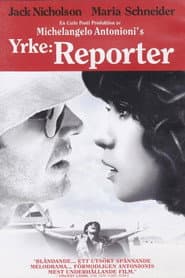 Yrke: Reporter