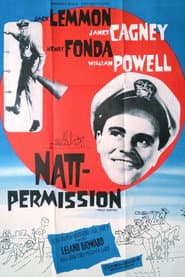 Nattpermission
