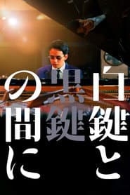 白鍵と黒鍵の間に