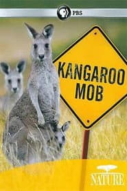 Kangaroo Mob