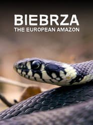 Biebrza. Między jawą a snem