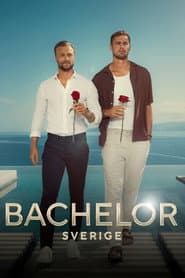 Bachelor Sverige