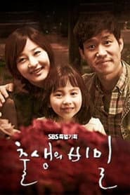 출생의 비밀