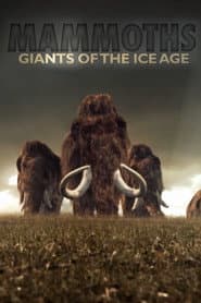 Mammuten: istidens gigant