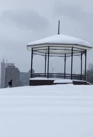 Después de una Tormenta de nieve