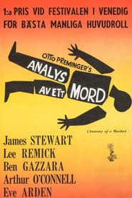 Analys av ett mord