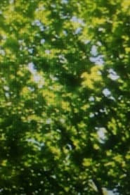Feuilles vertes