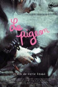 Le pigeon