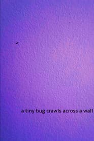 a tiny bug crawls across a wall