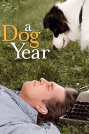 Hundår