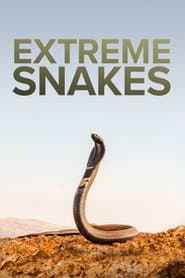 Extrema ormar