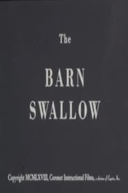 The Barn Swallow