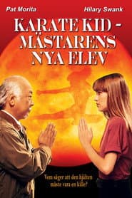 Karate Kid: Mästarens nya elev