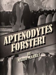 Aptenodytes Forsteri