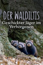 Polecat – Europe’s Relentless Hunter