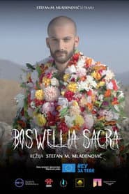 Boswellia sacra