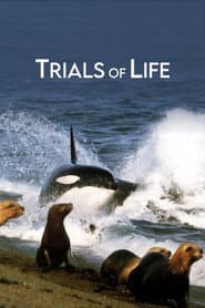 Trials of Life