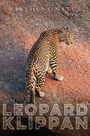 Leopardklippan