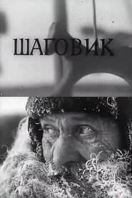 Шаговик