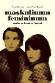 Maskulinum - femininum