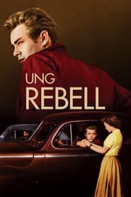 Ung rebell