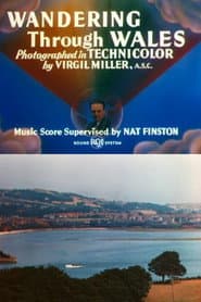 Wandering Through Wales