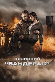 Позивний «Бандерас»