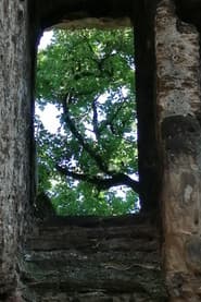 Les ruines du château de Seyssuel